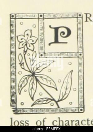 Historisches Archiv Bild von Seite 218 "Das Verbot der Maplethorpe genommen... Mit einer Abhandlung des Autors' Stockfoto