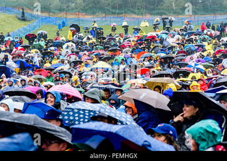 Masse trotzt Regen und Kälte in Edmonton Folk Music Festival, Edmonton, Alberta, Kanada. Stockfoto