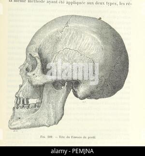 Historisches Archiv Bild ab Seite 655 von 'Hommes Fossilien et Hommes sauvages e u0301 tudes d'Anthropologie. ... Avec... gravures... et une Carte" Stockfoto