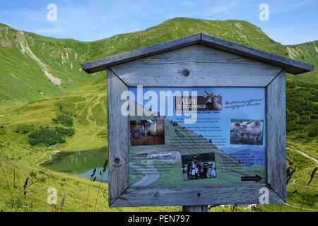 Tagesausflug auf Fellhorn Berg in den Alpen Stockfoto