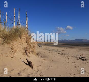 Snowdon von Anglesey Stockfoto