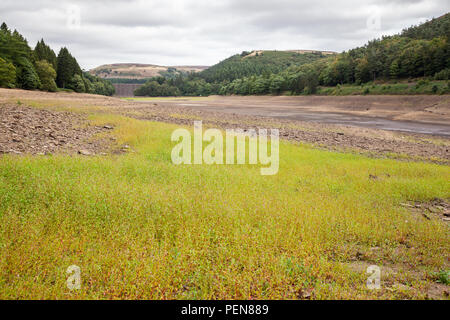 Eine Ansicht von Howden Reservoir in den Peak District, aus der die Auswirkungen einer langen, heißen Bann über Sommer auf der Wasserstände gehabt hat. Stockfoto