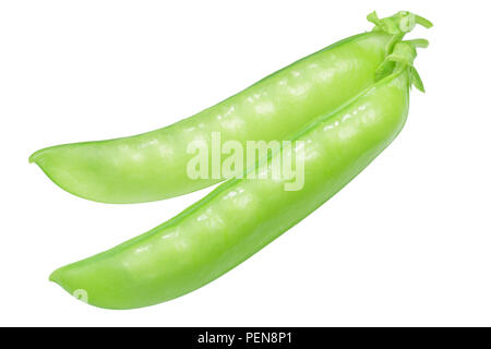 Pea pods (Pisum sativum), Ganz, Ansicht von oben Stockfoto