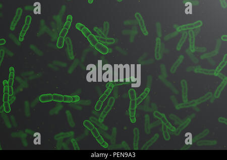 Streptococcus pneumoniae, grüne Zellen. Stockfoto