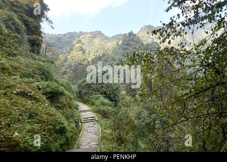 Emei Shan, Éméi Shan, Leshan, Sichuan, China, Denkmal der Republik die Menschen in China Stockfoto