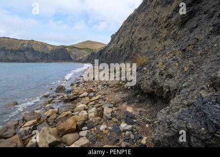 Wilden Strand von Chapman's Pool, Jurassic Coast, Purbeck, Dorset, England, UK mit schwarzen Felsen. Stockfoto