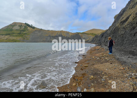 Wilden Strand von Chapman's Pool, Jurassic Coast, Purbeck, Dorset, England, UK mit schwarzen Felsen. Stockfoto