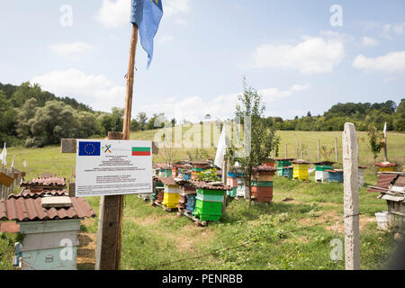 Projekt der EU Europäische Union für Bienen in einer ländlichen Gegend in der Nähe von Perperikon, Bulgarien Stockfoto