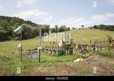 Projekt der EU Europäische Union für Bienen in einer ländlichen Gegend in der Nähe von Perperikon, Bulgarien Stockfoto