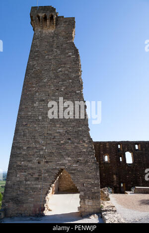 Chateauneuf-du-Pape, Burgruine, Vaucluse, Provence, Frankreich Stockfoto