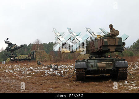 Soldaten der 35. Air Defense Squadron (polnische Armee) zeigen die geladenen W125 Launcher SC Anti-Raketen-System Mobilität während einer Demonstration für die Soldaten, ein Akku, 5. Bataillon, 7. Luft-Verteidigung-Artillerie-Brigade zur Unterstützung der Panther Assurance, eine Interoperabilität Bereitstellung Bereitschaft Übung, Jan. 14, bei Skwierzyna, Polen zugeordnet. Polen und USA Kräfte im Vergleich Hinweise auf ihre ähnliche Rakete Ausrüstung. Panther Qualitätssicherung bietet die Möglichkeit, unsere Kompetenz bei der Verteidigung gegen Antenne Bedrohungen, während die Verbesserung der Integration und Interoperabilität zwischen U erhöhen Stockfoto