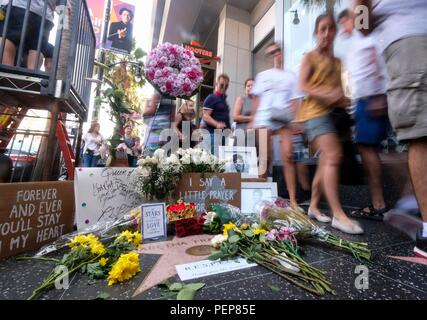 Los Angeles, USA. 16 Aug, 2018. Blumen sind auf Aretha Franklin's Star in Hollywood, Walk of Fame in Los Angeles, USA, am 12.08.16., 2018. Us-kulturelle Ikone Aretha Franklin starb am Donnerstag an ihrem Haus in Detroit, Michigan, im Alter von 76 Jahren nach einer Schlacht mit Bauchspeicheldrüsenkrebs. Credit: Zhao Hanrong/Xinhua/Alamy leben Nachrichten Stockfoto