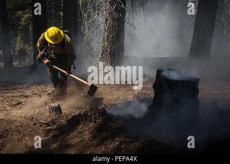 Dardanelle, Kalifornien, USA. 16 Aug, 2018. Donnerstag, 16. August 2018. MARTIN PUEBLA, ein Feuerwehrmann mit Angeles National Forest Motor 37, verwendet eine hand tool Scratch eine Linie um ein brennender Baumstumpf in der Donnell Feuer an der Clark Fork Campground in der Nähe von Dardanelle, Kalifornien zu. Credit: Tracy Barbutes/ZUMA Draht/Alamy leben Nachrichten Stockfoto