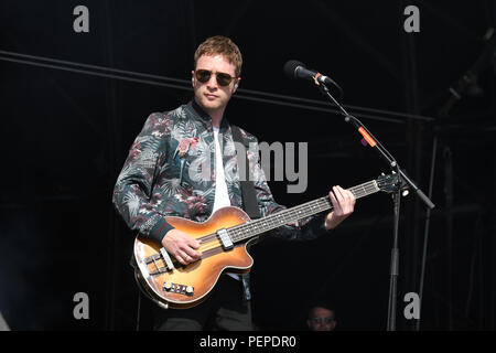 Chelmsford, Großbritannien. 17. Aug 2018. Miles Kane in RiZE Festival 2018 im Hylands Park, Chelmsford am 17. August 2018, UK. Bild Capital/Alamy leben Nachrichten Stockfoto