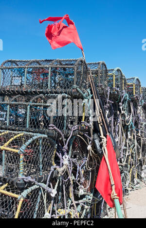 Hummer-Krabbentöpfe auf der Quayside im Sommer Whitby North Yorkshire England Großbritannien GB Großbritannien Stockfoto