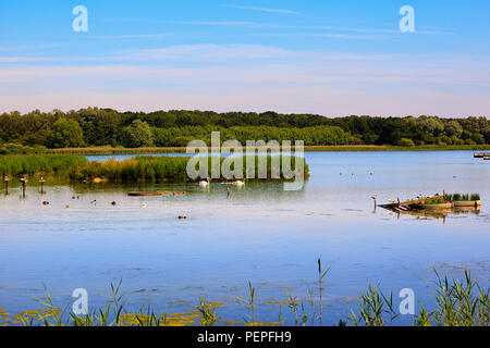 Rutland Wasser Naturschutzgebiet Stockfoto