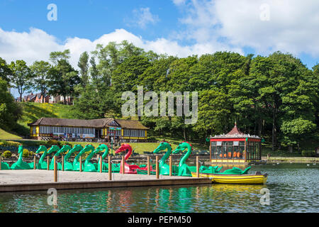 Scarborough Großbritannien Peasholm Park See und Paddel boote Tretboote scarborough Scarborough yorkshire North Yorkshire England uk gb Europa Stockfoto