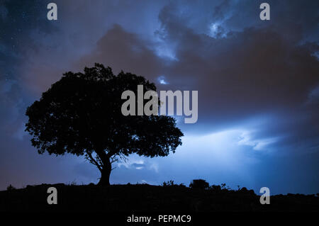 Nacht Landschaft, Eiche, Sterne, Wolken, Silhouette Stockfoto