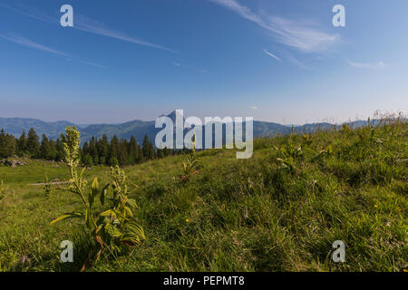 Blick auf den grossen Mythen der Schweiz Stockfoto