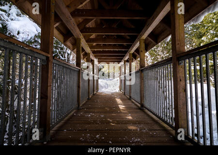 Überdachte Holzbrücke bei Brandywine Falls Provincial Park. Stockfoto