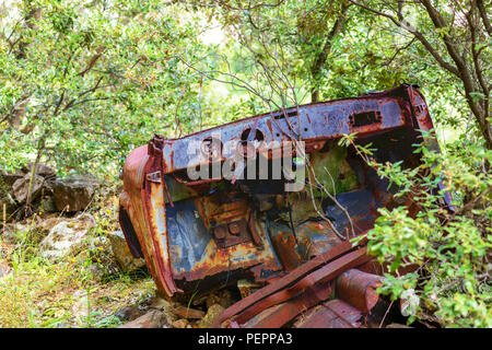 Rostiges Autowrack in einem Holz aufgegeben. Rusty Details des Interieurs von den Pflanzen des Waldes gewickelt. Stockfoto