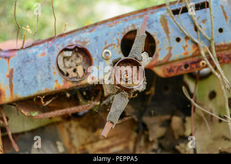 Rostiges Autowrack in einem Holz aufgegeben. Rusty Details des Interieurs von den Pflanzen des Waldes gewickelt. Stockfoto