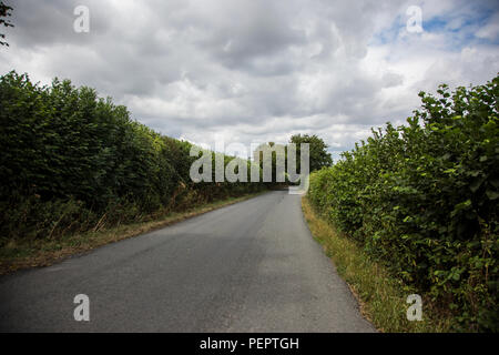 Country Lane in England an einem Sommertag mit Bäumen auf beiden Seiten der Straße und einige blaue Himmel mit schwarzen Wolken auftauchende Overhead und grünen Hecken Stockfoto