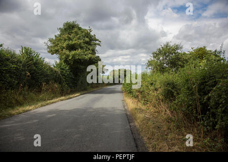 Country Lane in England an einem Sommertag mit Bäumen auf beiden Seiten der Straße und einige blaue Himmel mit schwarzen Wolken auftauchende Overhead und grünen Hecken Stockfoto