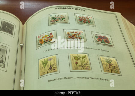 Briefmarken Sammlung Album mit einer Seite enthält zwei Sätze von gebrauchten Briefmarken aus der DDR, die im Herbst Blumen und giftige Pflanzen in Europa. Stockfoto