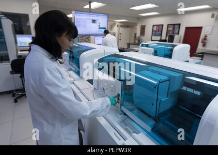 Labortechniker mit Maschine im Blut Bank Stockfoto