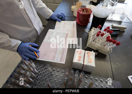 Labortechniker Rechnungen prüfen Stockfoto