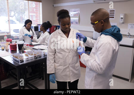 Laboranten analysieren Blutprobe Stockfoto