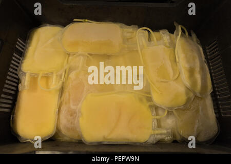 Plasma Taschen in einer Kiste in der Blutbank Stockfoto