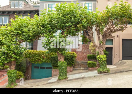 London Platanen und das home Kandareanklang in San Francisco, Kalifornien Stockfoto