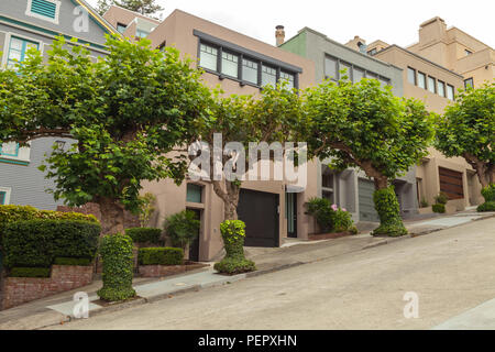 London Platanen und das home Kandareanklang in San Francisco, Kalifornien Stockfoto