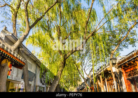 Yuer Hutong Gegend Restaurants Geschäfte Weiden Beijing China. Forbiddden yuer Hutong in der Nähe der Stadt geht zurück bis 1600. Orignially genannt Yulong Stockfoto