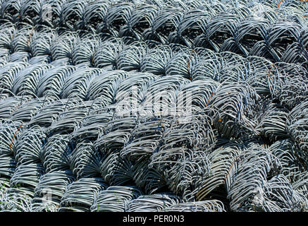 Rollen aus verzinktem Stahl Drahtgeflecht mit einer großen Zelle und twisted Muster Nahaufnahme. In der Kategorie der Textur, Bildschirmschoner, wallpaper. Stockfoto