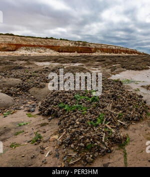 Landschaft von Old Hunstanton Klippen Stockfoto