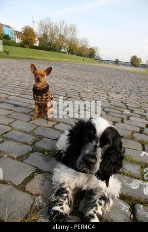 Die besten Leute Freunde Stockfoto