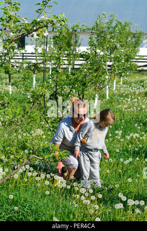 Ein kleines Mädchen und eine erwachsene Frau junge Bäume gepflanzt. Junge Bäume Blüte weiße Blumen vor dem Hintergrund des grünen Grases und gelben Löwenzahn. Rep. Stockfoto