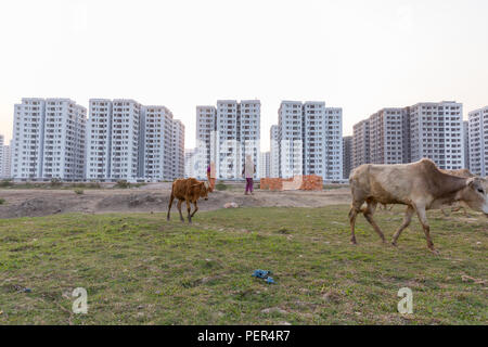 Wintersporturlaub Urbanigation, Dhaka, Bangladesch Stockfoto