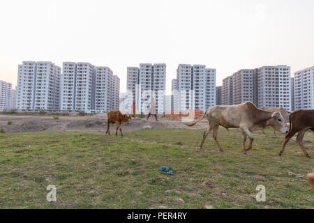 Wintersporturlaub Urbanigation, Dhaka, Bangladesch Stockfoto