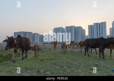 Wintersporturlaub Urbanigation, Dhaka, Bangladesch Stockfoto