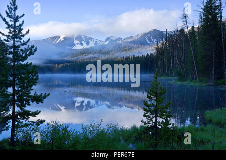 Sylvan Lake im Yellowstone National Park auf einem nebligen Morgen morgen, mit Enten schwimmen im See und Reflexionen der Berge. Stockfoto