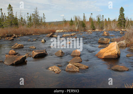 Reisen Neufundland, felsigen Bach entlang der TransCanada Highway in westlichen Neufundland. Stockfoto