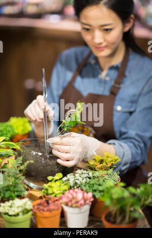 Junge Frau in Pflanzen shop arbeiten Stockfoto