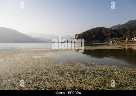 Sonnenuntergang über der atemberaubenden Phewa See in Pokhara am Fuß des Himalaya Gebirge in Nepal Stockfoto