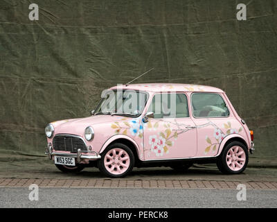 2000 Rover Mini Blume gemalt. Stockfoto