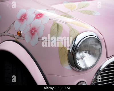 2000 Rover Mini Blume gemalt. Stockfoto