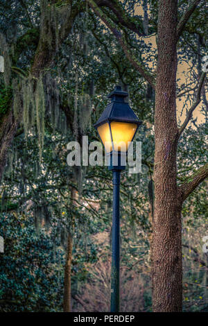 Traditionelle alte Lampe post im südlichen Park mit spanischem Moos Stockfoto